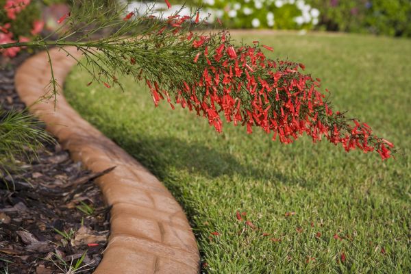 Brick Edging in Santa Monica