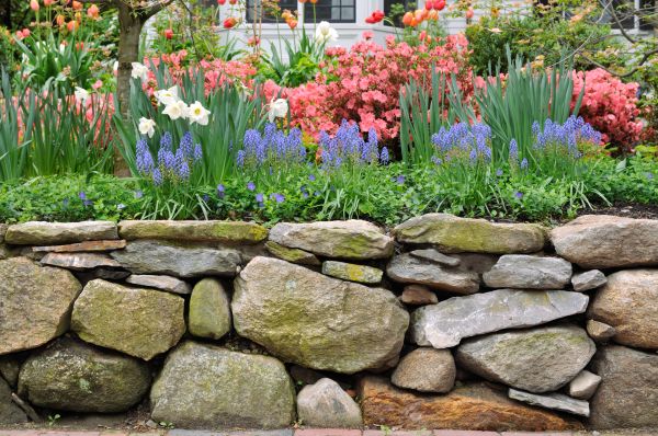 Stone Wall Hardscaping in Santa Monica