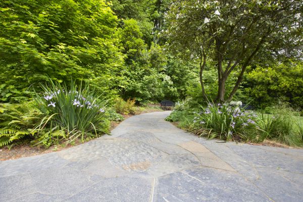 Stone Hardscape Service in Santa Monica